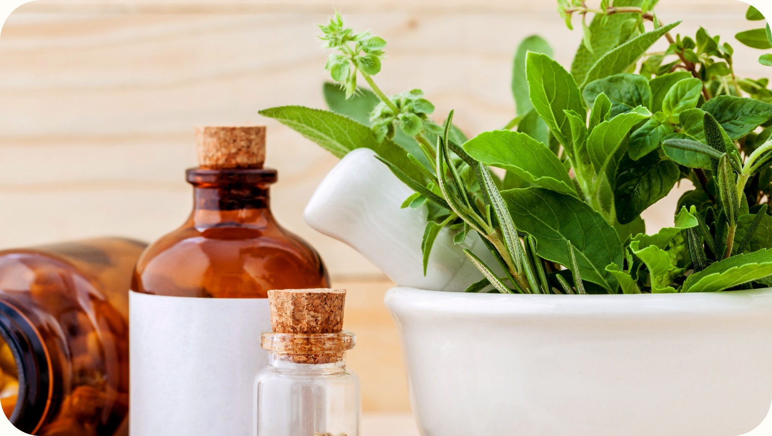 Hekanatura Mes Prestations Naturopathie Image Bandeau